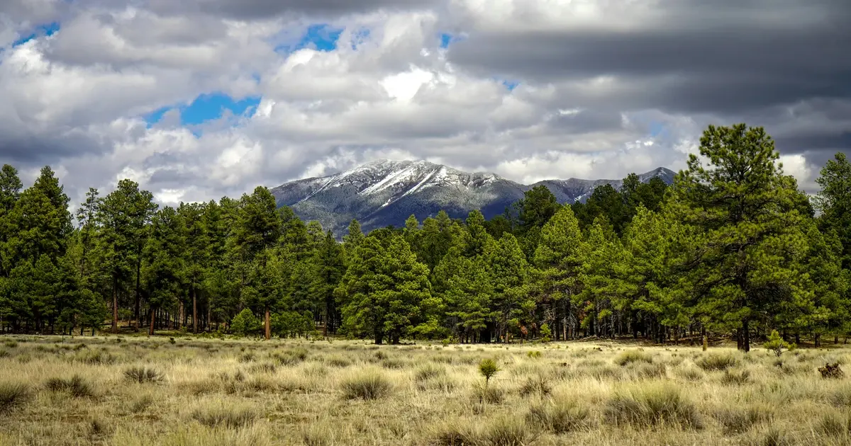 Parque Nacional Talampaya